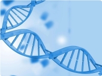 解決方案：超高分辨質(zhì)譜的組學(xué)解決方案